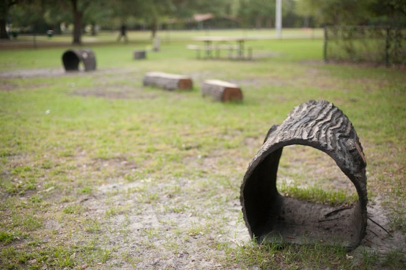Al Lopez Dog Park preview 5